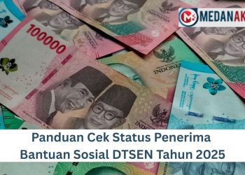 Panduan Cek Status Penerima Bantuan Sosial DTSEN Tahun 2025