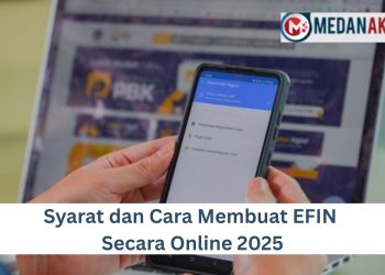 Syarat dan Cara Membuat EFIN Secara Online 2025