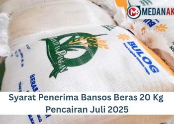 Syarat Penerima Bansos Beras 20 Kg Pencairan Juli 2025