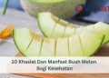 10 Khasiat Dan Manfaat Buah Melon Bagi Kesehatan