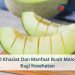 10 Khasiat Dan Manfaat Buah Melon Bagi Kesehatan