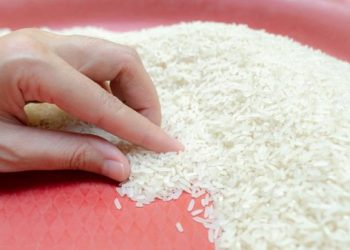 Beras Langka di Medan, Ini Faktor Utamanya