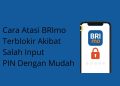 Cara Atasi BRImo Terblokir Akibat Salah Input PIN Dengan Mudah