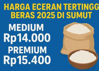 Harga Eceran Tertinggi Beras 2025 di Sumut, Medium Rp14.000 Premium Rp15.400