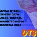 Kenali DTSEN, Sistem Data Bansos Terpadu Pengganti DTKS di Indonesia 2025