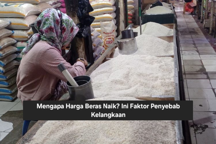 Mengapa Harga Beras Naik? Ini Faktor Penyebab Kelangkaan