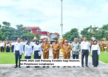 PPPK 2025 Jadi Peluang Terakhir bagi Honorer, Ini Penjelasan Lengkapnya