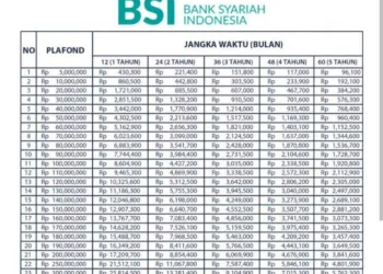 Panduan Dapat Pinjaman KUR BSI 2025 untuk UMKM, Cek Syarat Daftar dan Pengajuan