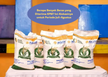 Berapa Banyak Beras yang Diterima KPM? Ini Alokasinya untuk Periode Juli–Agustus