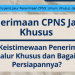 Kenali Jenis-Jenis Jalur Penerimaan CPNS: Umum, Khusus, dan Afirmasi