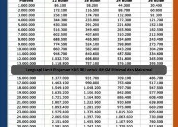 Lengkap! Limit Pinjaman KUR BRI untuk UMKM Minimal dan Maksimal