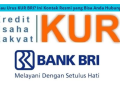 Mau Urus KUR BRI? Ini Kontak Resmi yang Bisa Anda Hubungi