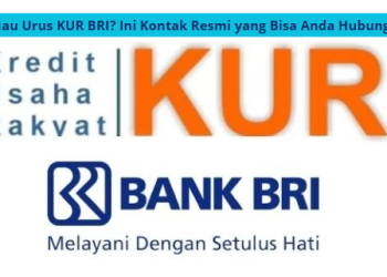 Mau Urus KUR BRI? Ini Kontak Resmi yang Bisa Anda Hubungi