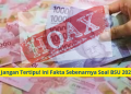 Jangan Tertipu! Ini Fakta Sebenarnya Soal BSU 2025