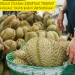 Durian Medan Juara: Deretan Tempat Makan Durian yang Bikin Ketagihan