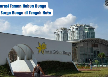 Eksplorasi Taman Kebun Bunga Medan: Surga Bunga di Tengah Kota (Dok. IDN Times Sumut)