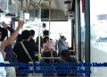 Nikmati Wisata Keliling Medan Pakai Bus Listrik, Berikut Info Jadwal dan Tarifnya