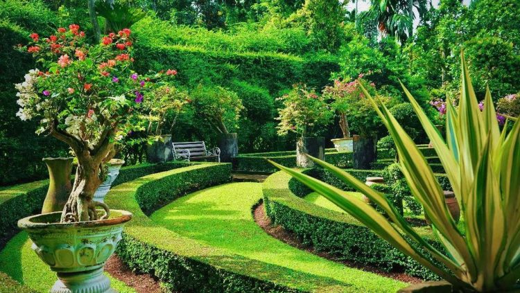 Spot Foto Instagramable di Medan untuk Liburan Kekinian