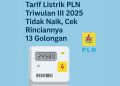 Tarif Listrik PLN Triwulan III 2025 Tidak Naik, Cek Rinciannya 13 Golongan