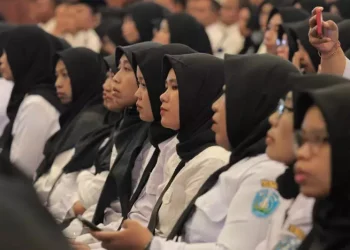 Peluang Emas! Inilah Skema PPPK untuk Tenaga Dosen Tahun 2025