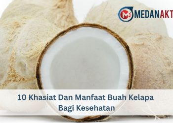 10 Khasiat Dan Manfaat Buah Kelapa Bagi Kesehatan