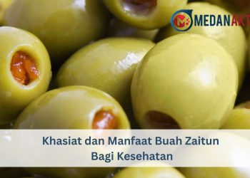 Khasiat dan Manfaat Buah Zaitun Bagi Kesehatan