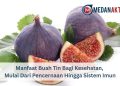 Manfaat Buah Tin Bagi Kesehatan, Mulai Dari Pencernaan Hingga Sistem Imun