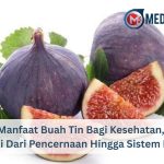 Manfaat Buah Tin Bagi Kesehatan, Mulai Dari Pencernaan Hingga Sistem Imun