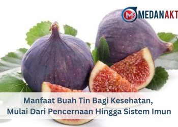 Manfaat Buah Tin Bagi Kesehatan, Mulai Dari Pencernaan Hingga Sistem Imun