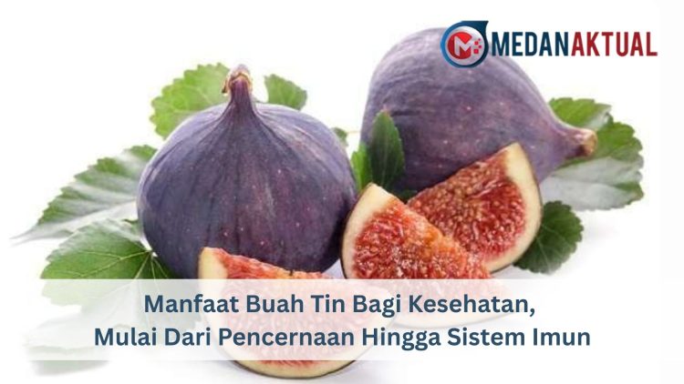 Manfaat Buah Tin Bagi Kesehatan, Mulai Dari Pencernaan Hingga Sistem Imun