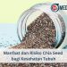 Manfaat dan Risiko Chia Seed bagi Kesehatan Tubuh