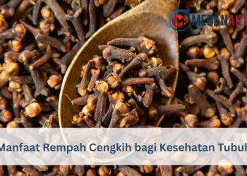 Manfaat Rempah Cengkih bagi Kesehatan Tubuh