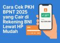 Cara Cek PKH BPNT 2025 yang Cair di Rekening BNI Lewat HP Mudah