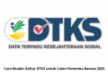 Cara Mudah Daftar DTKS untuk Calon Penerima Bansos 2025