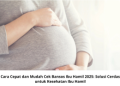 Cara Cepat dan Mudah Cek Bansos Ibu Hamil 2025: Solusi Cerdas untuk Kesehatan Ibu Hamil