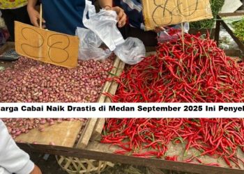 Harga Cabai Naik Drastis di Medan September 2025, Ini Penyebab 