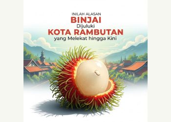 Inilah Alasan Binjai Dijuluki Kota Rambutan yang Melekat hingga Kini