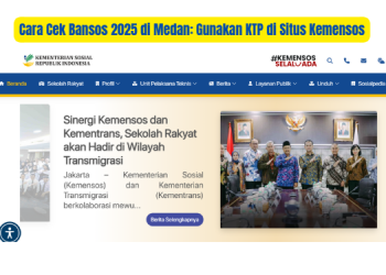 Cara Cek Bansos 2025 di Medan: Gunakan KTP di Situs Kemensos