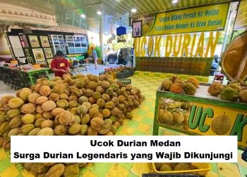 Ucok Durian Medan: Surga Durian Legendaris yang Wajib Dikunjungi