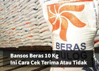 Bansos Beras 10 Kg Ini Cara Cek Terima Atau Tidak