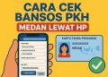 Cara Cek Bansos PKH di Medan Lewat HP, Cuma Pakai KTP
