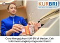 Cara Mengajukan KUR BRI di Medan, Cek Informasi Lengkap Angsuran Disini!