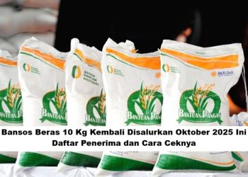 Bansos Beras 10 Kg Kembali Disalurkan Oktober 2025, Ini Daftar Penerima dan Cara Ceknya