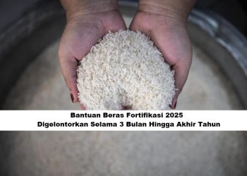 Kriteria Penerima Bantuan Beras Fortifikasi 2025, Digelontorkan Selama 3 Bulan Hingga Akhir Tahun