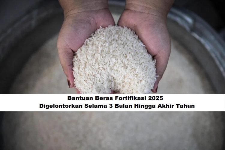 Kriteria Penerima Bantuan Beras Fortifikasi 2025, Digelontorkan Selama 3 Bulan Hingga Akhir Tahun