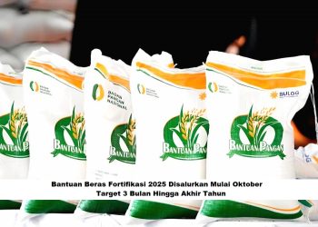 Bantuan Beras Fortifikasi 2025 Disalurkan Mulai Oktober, Target 3 Bulan Hingga Akhir Tahun