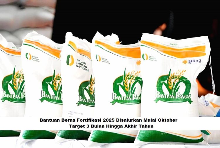 Bantuan Beras Fortifikasi 2025 Disalurkan Mulai Oktober, Target 3 Bulan Hingga Akhir Tahun