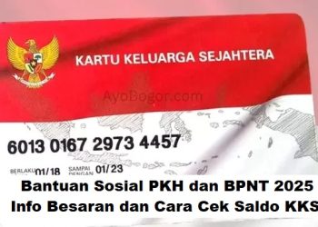 Bantuan Sosial PKH dan BPNT 2025: Info Besaran dan Cara Cek Saldo KKS