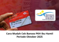 Cara Mudah Cek Bansos PKH Ibu Hamil Periode Oktober 2025