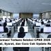 Informasi Terbaru Seleksi CPNS 2026: Jadwal, Syarat, dan Cara Cek Update Resmi
